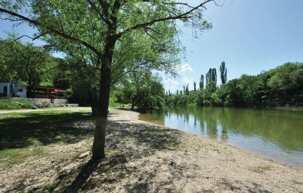 Apartment Kraljevic Blato na Cetini Esterno foto
